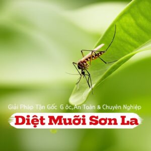 Diệt Muỗi Sơn La: Giải Pháp Tận Gốc, An Toàn & Chuyên Nghiệp