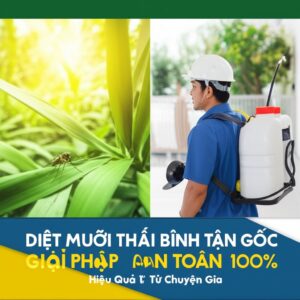 Diệt Muỗi Thái Bình Tận Gốc – Giải Pháp An Toàn, Hiệu Quả 100% Từ Chuyên Gia