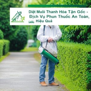 Diệt Muỗi Thanh Hóa Tận Gốc – Dịch Vụ Phun Thuốc An Toàn, Hiệu Quả