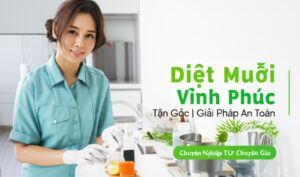 Diệt Muỗi Vĩnh Phúc Tận Gốc | Giải Pháp An Toàn, Chuyên Nghiệp Từ Chuyên Gia