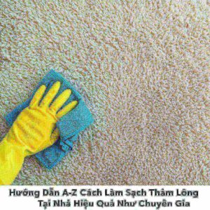 Hướng Dẫn A-Z Cách Làm Sạch Thảm Lông Tại Nhà Hiệu Quả Như Chuyên Gia