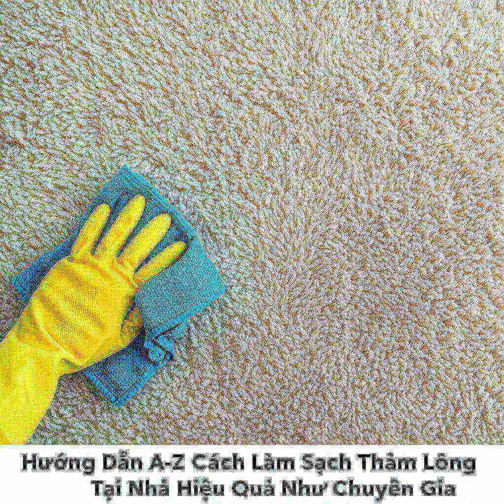 Hình minh họa cho bài viết: Hướng Dẫn A-Z Cách Làm Sạch Thảm Lông Tại Nhà Hiệu Quả Như Chuyên Gia
