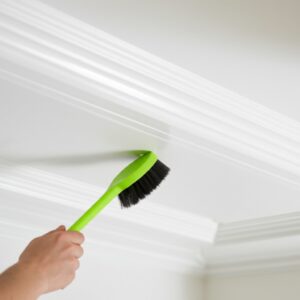 Hướng Dẫn Chi Tiết Cách Vệ Sinh Trần Nhà Bằng Nhựa Sạch Như Mới Từ Chuyên Gia