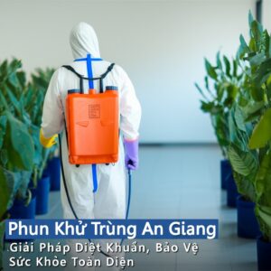 Phun Khử Trùng An Giang: Giải Pháp Diệt Khuẩn, Bảo Vệ Sức Khỏe Toàn Diện