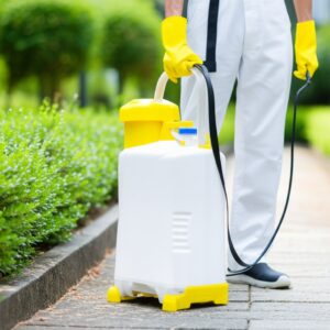 Phun Khử Trùng Cần Thơ: Dịch Vụ Chuyên Nghiệp, An Toàn, Triệt Để