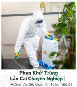 Phun Khử Trùng Lào Cai Chuyên Nghiệp | Dịch Vụ Diệt Khuẩn An Toàn, Triệt Để