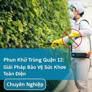 Phun Khử Trùng Quận 12: Giải Pháp Bảo Vệ Sức Khỏe Toàn Diện, Chuyên Nghiệp