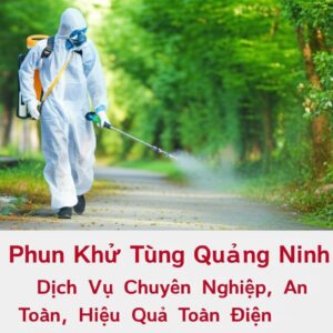 Phun Khử Trùng Quảng Ninh: Dịch Vụ Chuyên Nghiệp, An Toàn, Hiệu Quả Toàn Diện