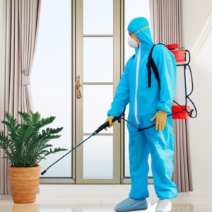 Phun Khử Trùng Sơn La: Giải Pháp Bảo Vệ Sức Khỏe Toàn Diện, Chuyên Nghiệp