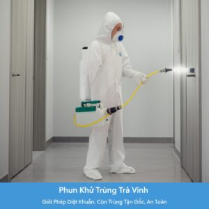Phun Khử Trùng Trà Vinh: Giải Pháp Diệt Khuẩn, Côn Trùng Tận Gốc, An Toàn