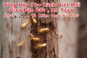 Tổng Hợp 10+ Cách Diệt Mối Dân Gian Tận Gốc, An Toàn Và Hiệu Quả Bất Ngờ